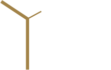 Premier Elements