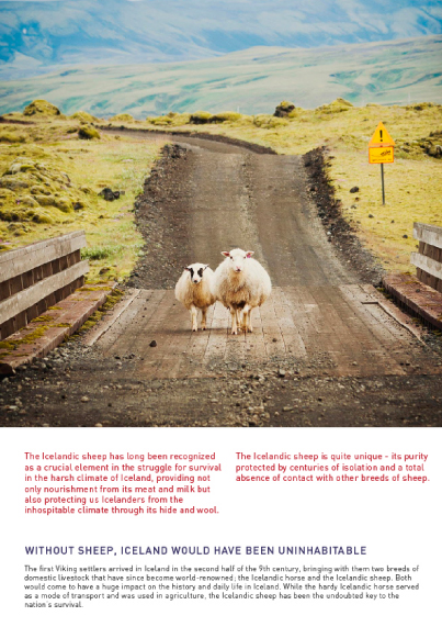 pe-brochure-byndis-bolldotir-material-origin