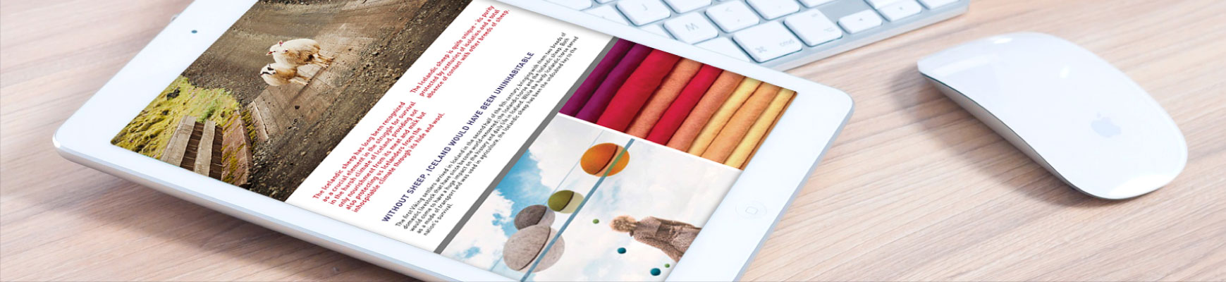 pe-brochure-slider